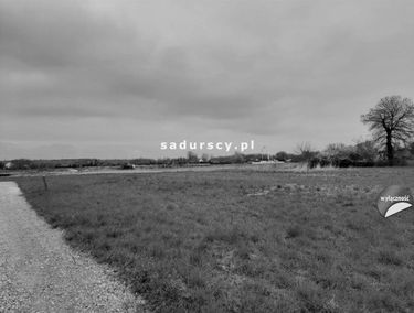 Zdjęcie 14711567