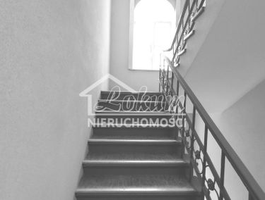 Zdjęcie 14713403