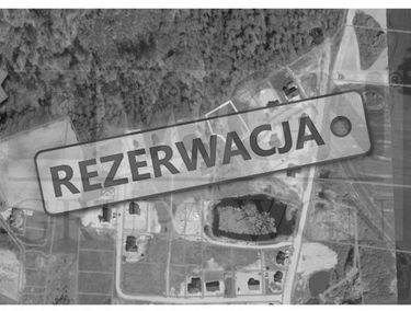 Zdjęcie 14713427