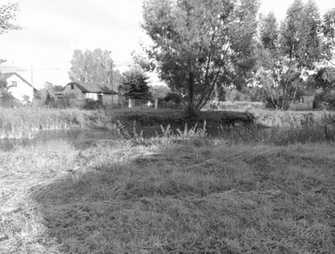 Zdjęcie 14713980