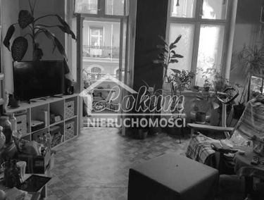 Zdjęcie 14714564