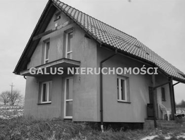 Zdjęcie 14715437
