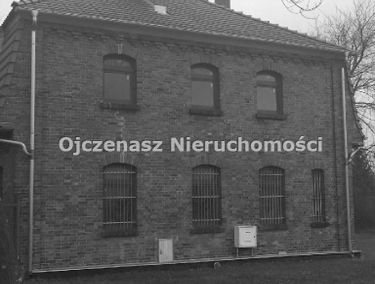 Zdjęcie 14716819