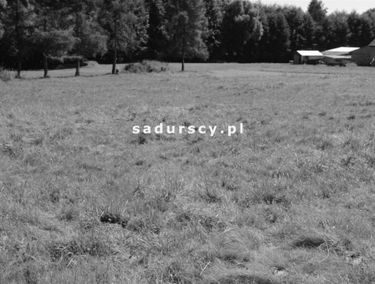 Zdjęcie 14717121