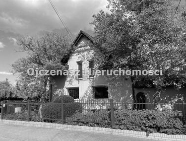 Zdjęcie 14718478