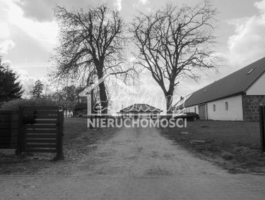 Zdjęcie 14718582