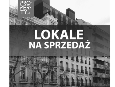 Zdjęcie 14720361