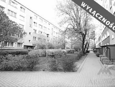Zdjęcie 14720504