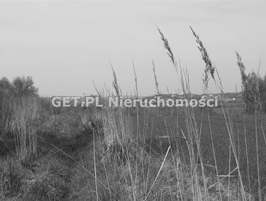 Zdjęcie 14721273