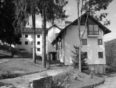 Zdjęcie 14721916