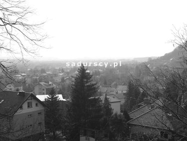 Zdjęcie 14724085