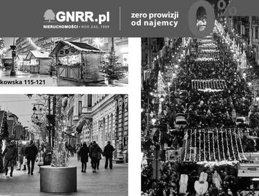 Zdjęcie 14727121