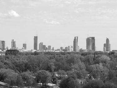 Zdjęcie 14728680