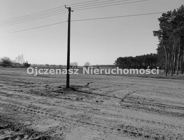 Zdjęcie 14728824
