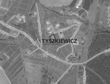 Zdjęcie 14729345