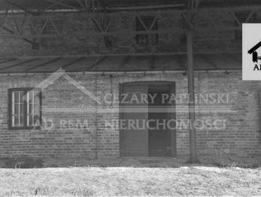 Zdjęcie 14729874