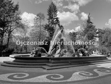 Zdjęcie 14730437