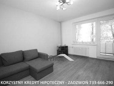 Zdjęcie 14730921