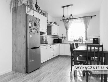Zdjęcie 14731498