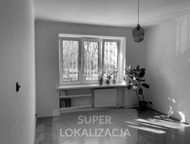Zdjęcie 14731598