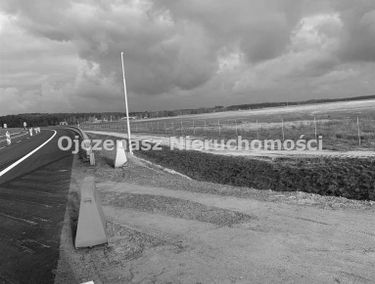 Zdjęcie 14731702
