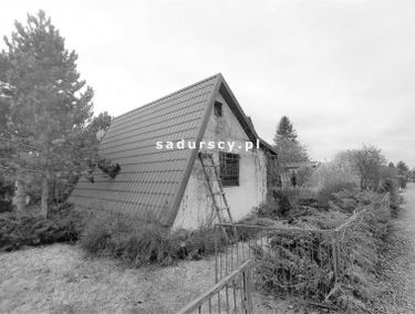 Zdjęcie 14732494
