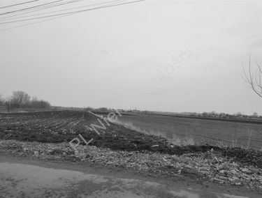 Zdjęcie 14733390