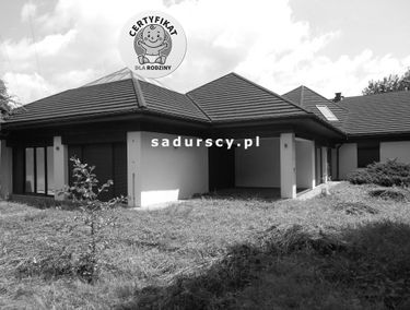 Zdjęcie 14734020