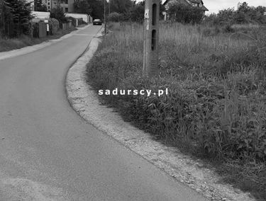 Zdjęcie 14734346
