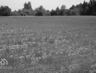 Zdjęcie 14736197