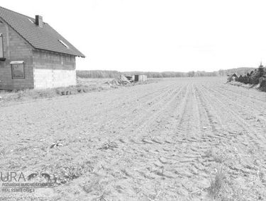 Zdjęcie 14736486