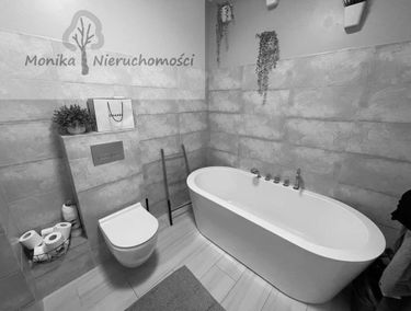 Zdjęcie 14737297