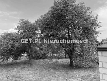 Zdjęcie 14737328