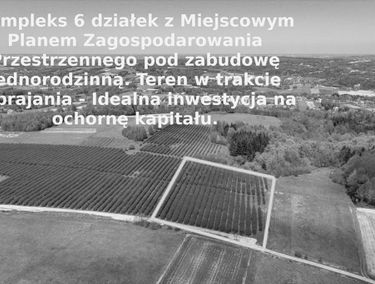 Zdjęcie 14738373