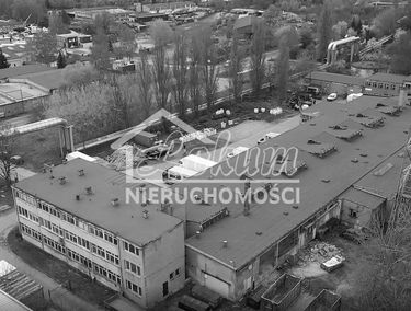 Zdjęcie 14740844