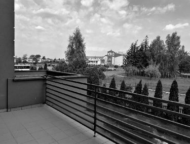 Zdjęcie 14741636
