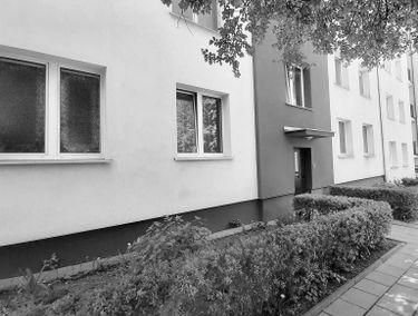 Zdjęcie 14745806