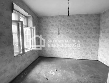 Zdjęcie 14746098
