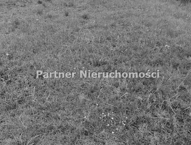 Zdjęcie 14746468