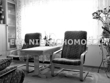 Zdjęcie 14747264