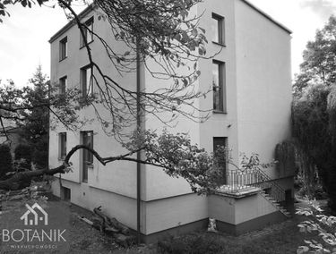 Zdjęcie 14748741