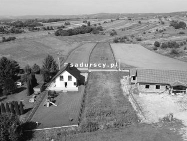Zdjęcie 14749824