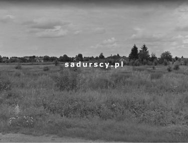 Zdjęcie 14751903