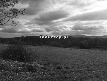 Zdjęcie 14752954