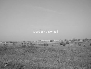 Zdjęcie 14753091
