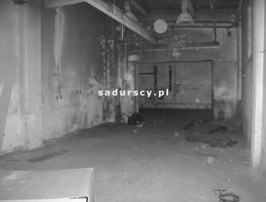 Zdjęcie 14753115