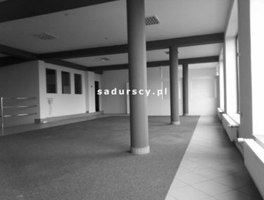 Zdjęcie 14753123