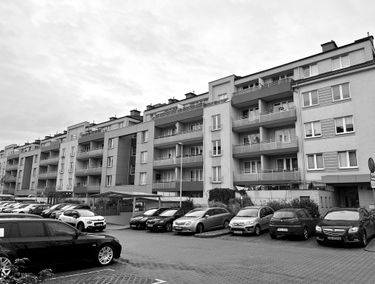 Zdjęcie 14754898