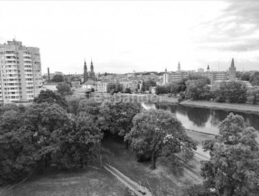 Zdjęcie 14754958