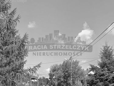 Zdjęcie 14755218